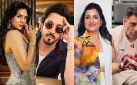 Madhuri Jain is richest; reported net worth of Lock Upp 2 stars