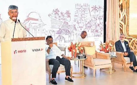 District economic profiles to map growth sectors in Andhra,  CM Naidu
