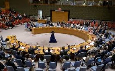 India to launch UNSC campaign for 2028-29 term at UN next week