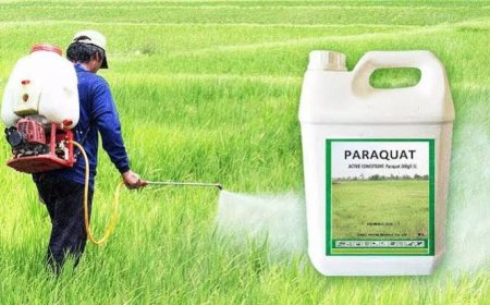 Centre’s Ban on Paraquat a Landmark Step for Farmers’ Health, Says Dr Gongura Venkateswarlu 