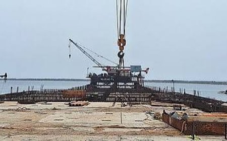 Andhra govt allocates Rs 1,639 crore to acquire 6,248 acres for Phase II expansion of three greenfield ports