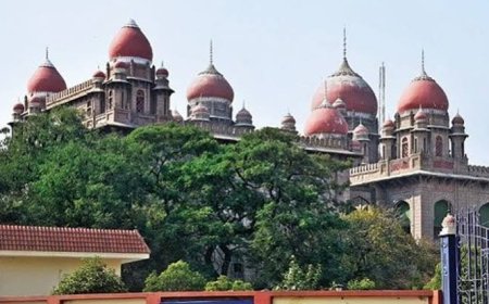 Telangana HC grants interim relief in Doolapally land-use dispute