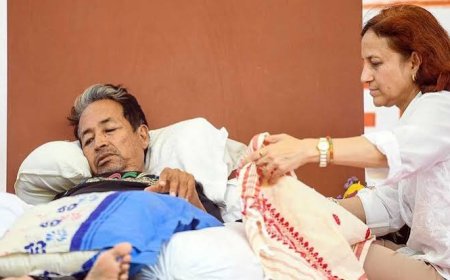 Delhi HC to hear today Wangchuk's wife's appeal against order refusing intervention in Safdarjung treatment