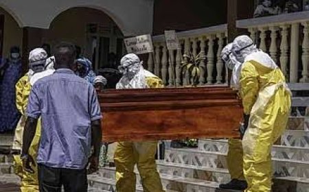 At least 930 people have died in Congo's Ebola outbreak