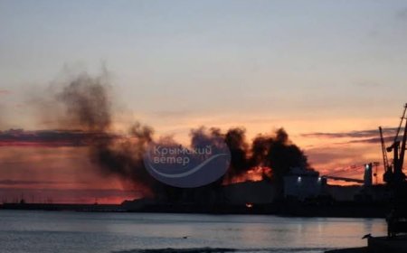 Four Indians among 10 killed in Russian attack on ship off Ukraine coast