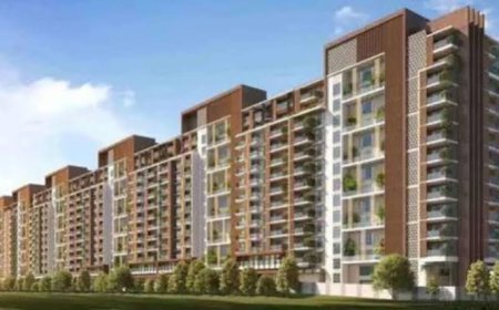 Institutional Investment in India's Housing Market Plunges 85% to $154 Mn