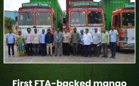 Soaring fuel, maintenance costs cripple trucking industry in Andhra's Saluru