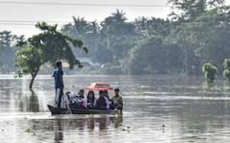 Assam Floods: 6 More Deaths In 24 Hours, Over 7 Lakh People Affected
