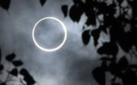 This New Zealand city will witness Total Solar Eclipse after 850 years; hotels book out two years in advance