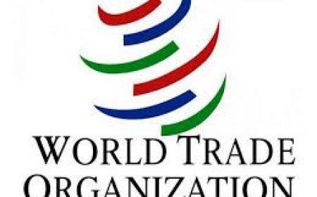WTO members question India's PLI scheme, tariffs and QCO regime