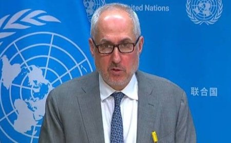 UN weighs in on Delhi agitation, says 'peaceful protest' should be allowed without any 'fear'