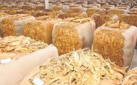 Centre, Andhra Pradesh weigh relief package for tobacco farmers