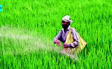 Restore Godavari water for Krishna delta farmers 