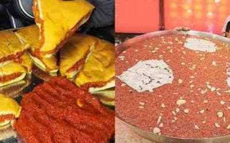 Food safety officials find flies, rust at RC Puram Pista House