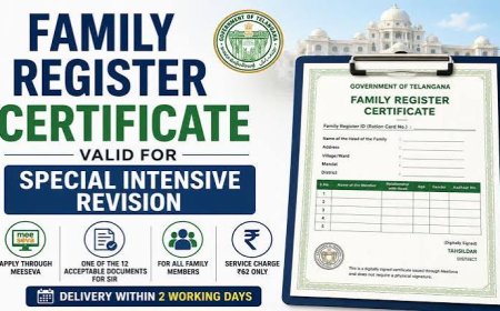 Over 50,000 family register applications logged in 3 days,