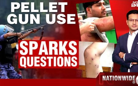 Pellet guns cannot be banned outright, specific misuse to be examined: SC