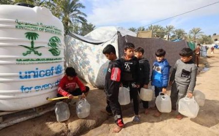 WHO raises alarm over blocked prosthetics, oxygen supplies, lab equipment in Gaza