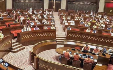 Parliament clears tougher anti-paper leak law amid Oppn walkout