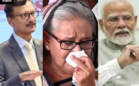 Parliamentary panel seeks phased restoration of Bangladesh visas, update on Hasina extradition request