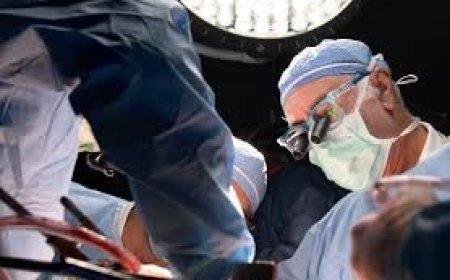Donors must be informed of law on organ transplants: Centre to states