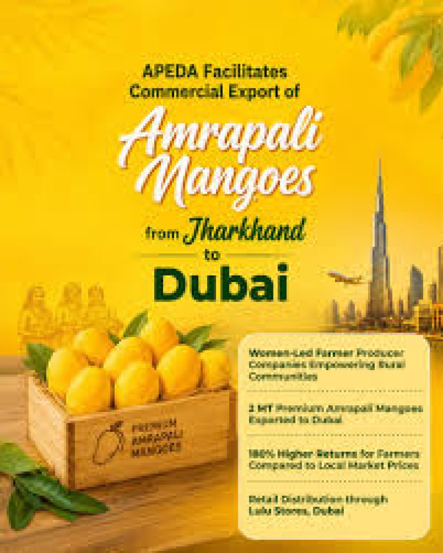 Amrapali mangoes make it to Dubai’s markets