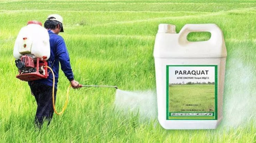 Centre’s Ban on Paraquat a Landmark Step for Farmers’ Health, Says Dr Gongura Venkateswarlu 