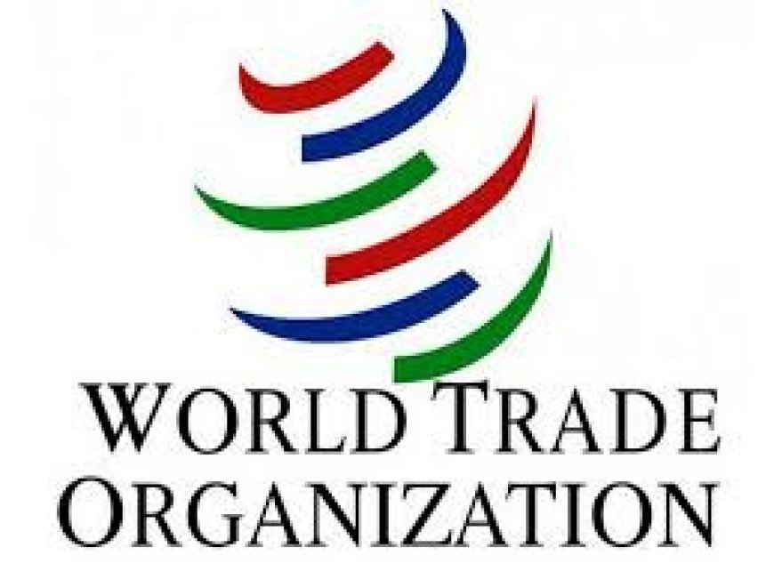 WTO members question India's PLI scheme, tariffs and QCO regime