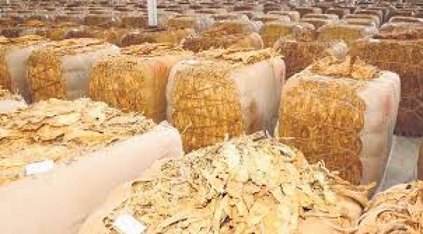 Centre, Andhra Pradesh weigh relief package for tobacco farmers