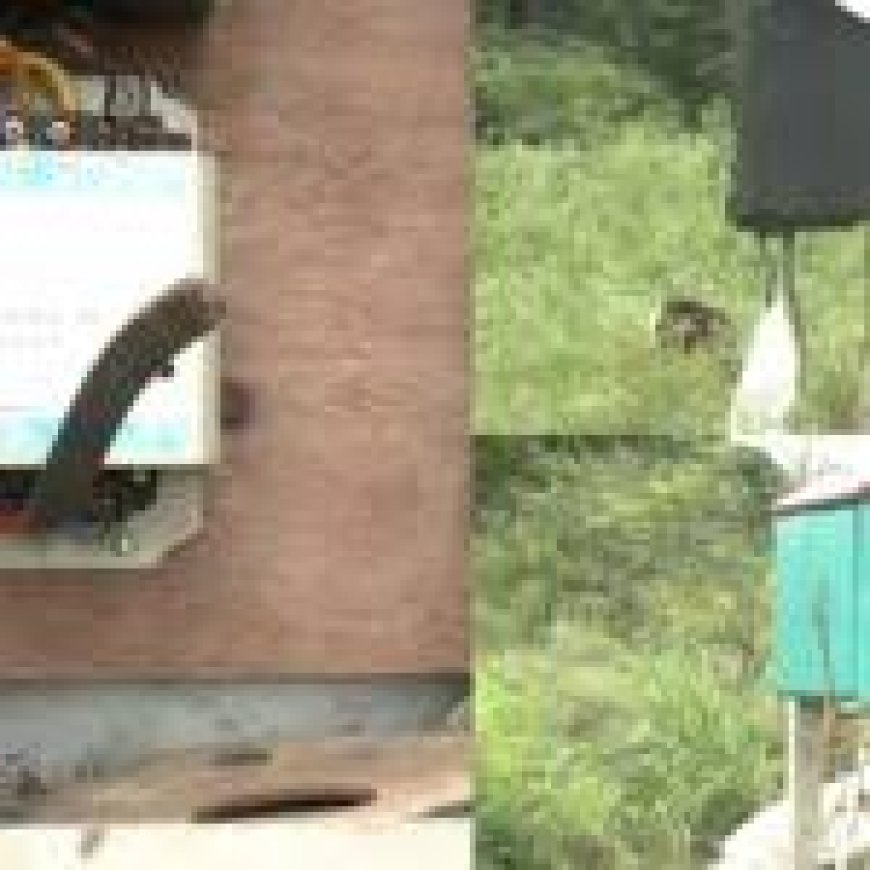 Karnataka farmers hit by pump set thefts; 22 farms targeted
