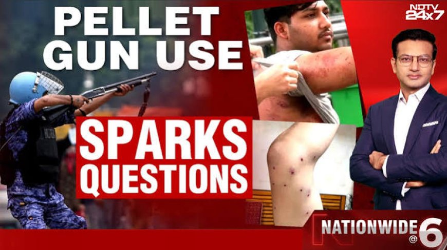 Pellet guns cannot be banned outright, specific misuse to be examined: SC