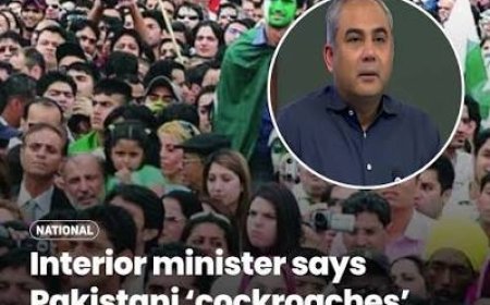 "If Cockroaches Unite...": Pakistan Minister Warns Youth Could Spark Major Movement