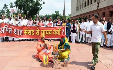 Rahul Gandhi booked over Ram temple 'chanda chori' skit at Parl