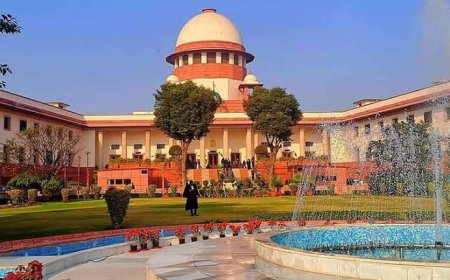 People abandon cattle, but object to using them for food: SC