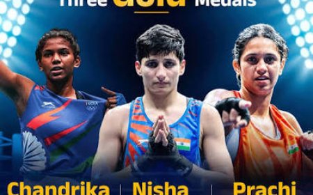 India Win Record 7 Boxing Golds; Medal Rush Sees Tally Touch 