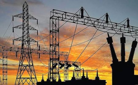 APCPDCL launches IVRS service for new power connections