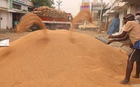 Rs 87 crore worth of paddy missing, three mill owners booked