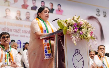 "Submit Papers": Poll Body To Sunetra Pawar Over Changing Party Constitution