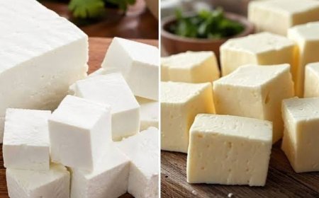 What Is Analogue Paneer? Why Has The Maharashtra Govt Banned It For A Year