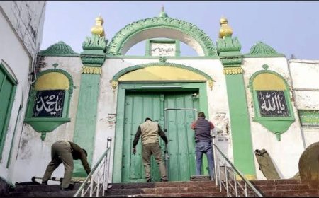 Sambhal violence 'pre-planned conspiracy': Judicial panel