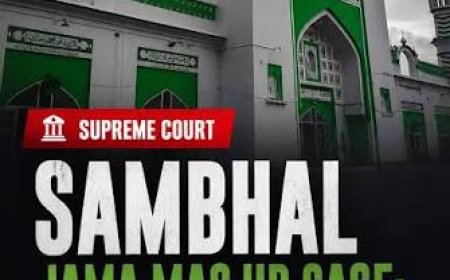 Sambhal violence 'pre-planned conspiracy': Judicial panel