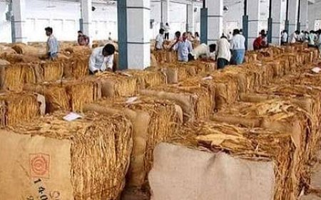 Government failed to protect interests of tobacco farmers in Andhra: YSR president Jagan