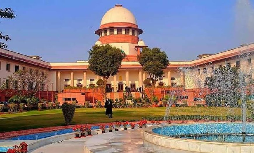 People abandon cattle, but object to using them for food: SC