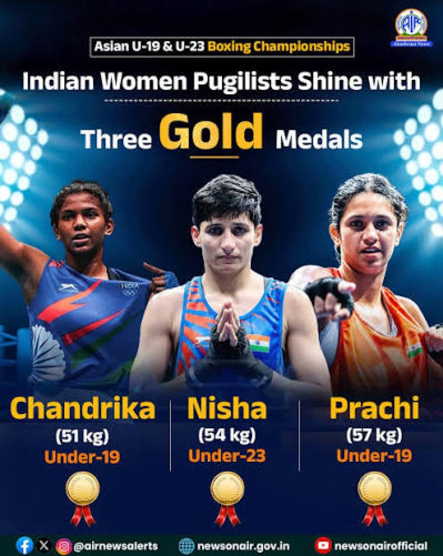 India Win Record 7 Boxing Golds; Medal Rush Sees Tally Touch 