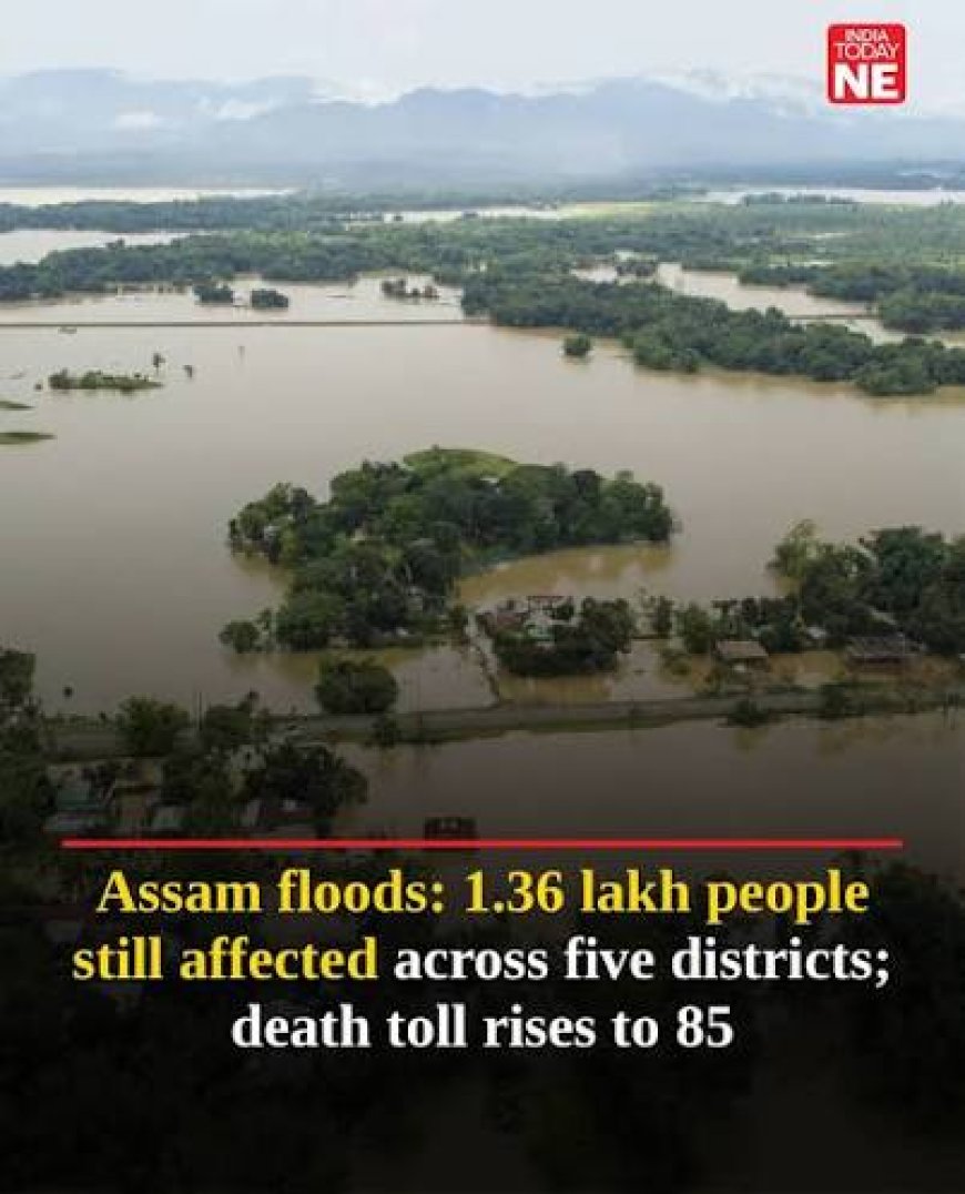 Assam Floods: Death Count Rises To 95, 14 Districts On High Alert