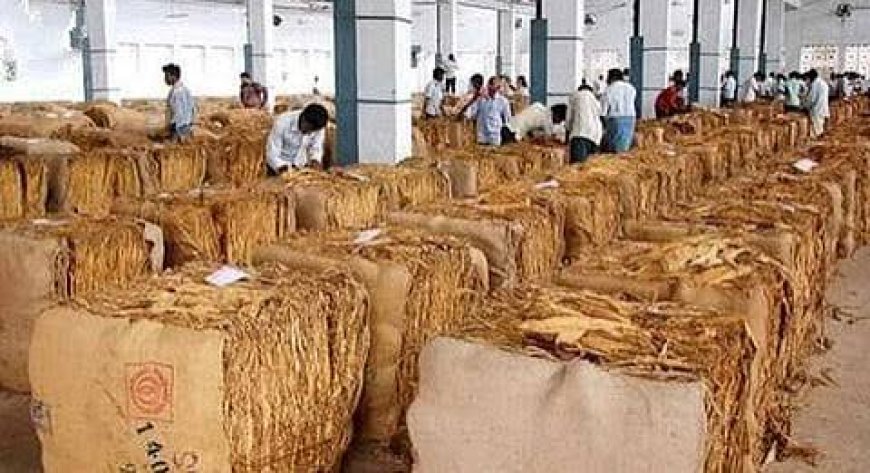 Government failed to protect interests of tobacco farmers in Andhra: YSR president Jagan